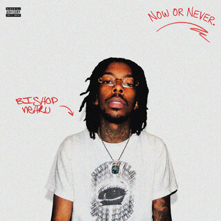 Bishop Nehru "Now or Never"