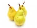 Paul_Pears