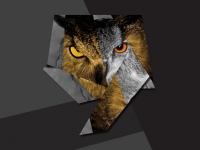 Drake ~ 5AM In Toronto