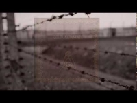 Golin - Potrzebujemy Wojen