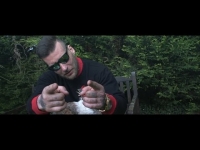 Gang Albanii - Dla prawdziwych dam