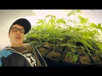 GIBON - Fankatak, Metrowy, Bulski, Rufijok, Bukartyk, Silk, Skorup, Juvson, Ratowicz, Bu,Feel'x, HWR