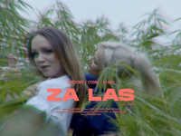 Za las ft. Łysonżi, Proceente, DJ HWR (prod. Salvare) - ALOHA OPUS MAGNUM VOL.2