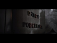 DZICY - Porcelana (Video)