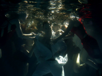 Kosa ft. Kukon - Sople (prod. FORXST)