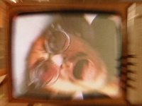 Adi Nowak feat. Czesław Śpiewa - Passe