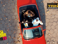 donGURALesko x Shellerini x Tailor Cut - WAH-WAH [#TRINITY]