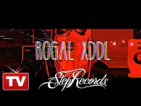 Rogal DDL - Mikrofony