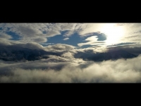 Anatom - Wolny (prod.  Feliepe)