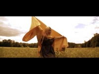 Haju ft. Paluch - Wojownik