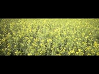 Mroku - W drodze do domu / gość. Asia Alpop / Video Mashup