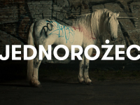 Sokół - Jednorożec (Official Video)