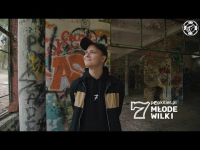 Przyłu - Rentgen #36 (Popkiller Młode Wilki 7)