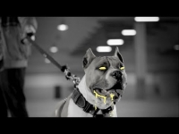 Luxon - Hood Rich feat. Termanology x Pyskaty