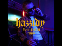 HZD HAZZIDY / KALI KGM REMIX