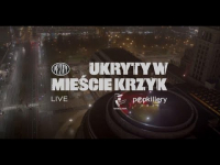 Pezet - Ukryty W Mieście Krzyk (Live, Popkillery 2022)