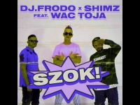 Dj.Frodo & Shimz feat. Wac Toja - Szok!