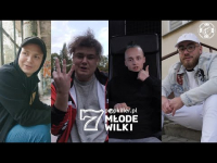 Jak Młode Wilki 7 typowały skład Młodych Wilków 7?