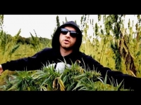 Wojtas - Uspokaja mnie to (UMT)