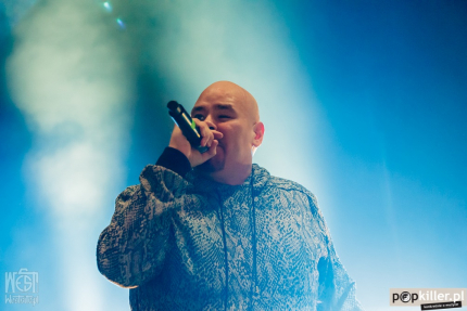 Fat Joe kończy karierę? 